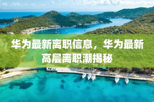 華為最新離職信息，華為最新高層離職潮揭秘