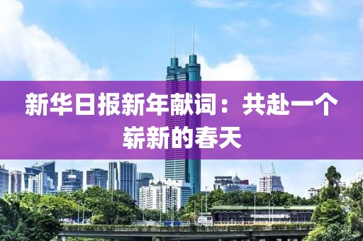 2025年3月20日 第17頁