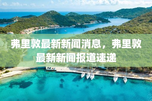 弗里敦最新新聞消息，弗里敦最新新聞報道速遞