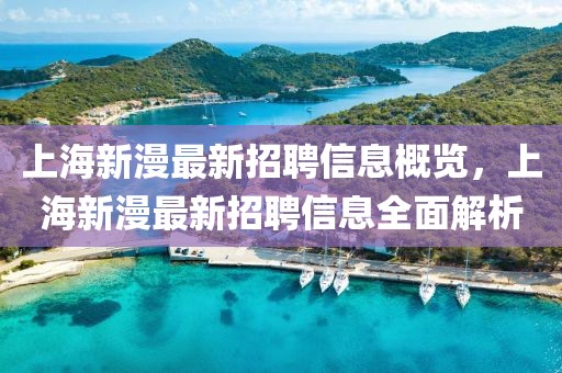 上海新漫最新招聘信息概覽，上海新漫最新招聘信息全面解析