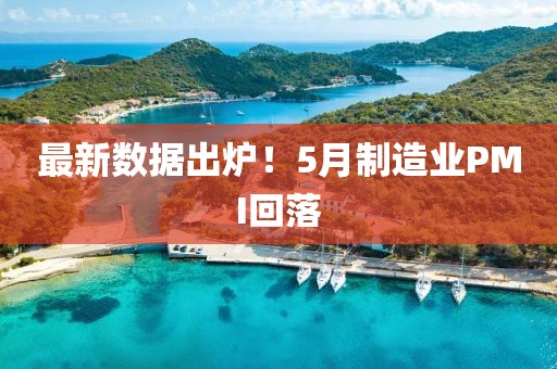 最新數據出爐！5月制造業(yè)PMI回落