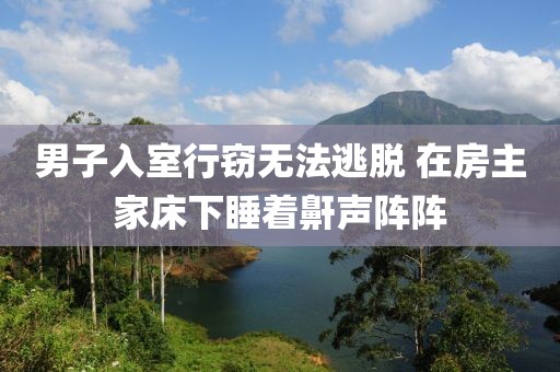 男子入室行竊無法逃脫 在房主家床下睡著鼾聲陣陣