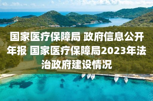 國家醫療保障局 政府信息公開年報 國家醫療保障局2023年法治政府建設情況