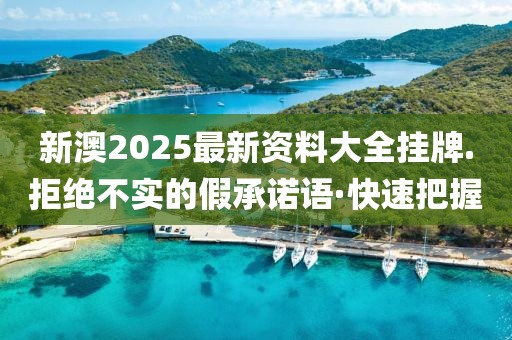 新澳2025最新資料大全掛牌.拒絕不實的假承諾語·快速把握