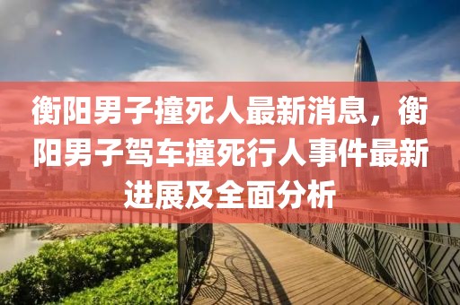 衡陽男子撞死人最新消息，衡陽男子駕車撞死行人事件最新進展及全面分析