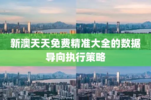 新澳天天免費精準大全的數據導向執行策略