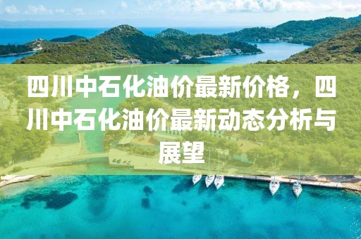 四川中石化油價最新價格，四川中石化油價最新動態分析與展望