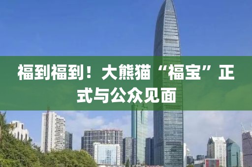 福到福到！大熊貓“福寶”正式與公眾見面