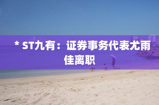 ＊ST九有：證券事務代表尤雨佳離職