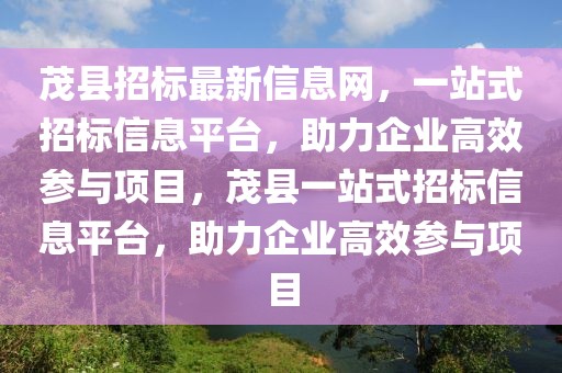 茂縣招標最新信息網，一站式招標信息平臺，助力企業高效參與項目，茂縣一站式招標信息平臺，助力企業高效參與項目