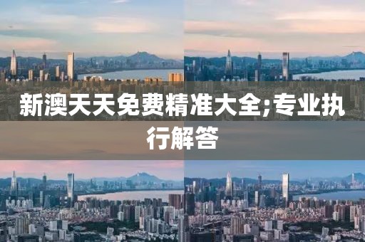 新澳天天免費精準大全;專業執行解答