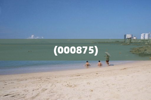 (000875)