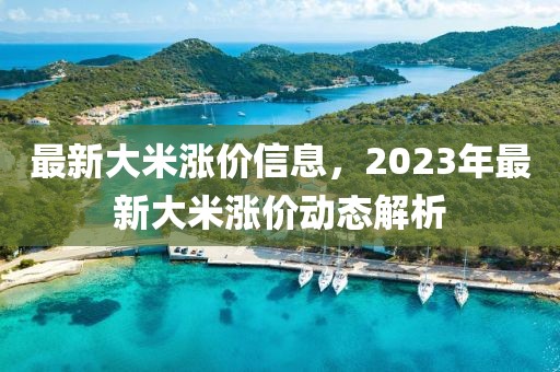 最新大米漲價信息，2023年最新大米漲價動態(tài)解析