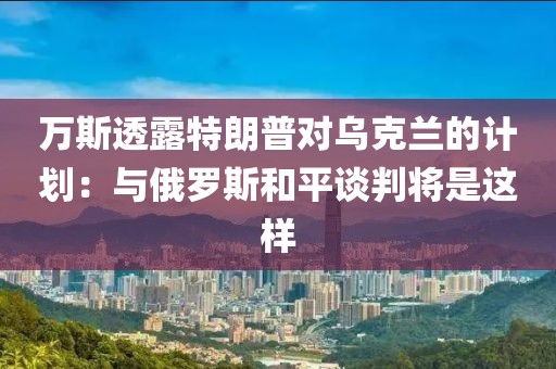 萬斯透露特朗普對烏克蘭的計劃：與俄羅斯和平談判將是這樣