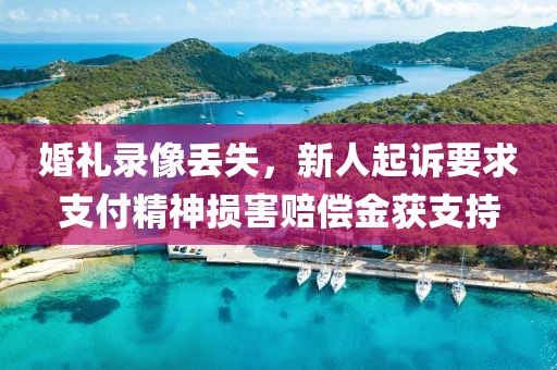 婚禮錄像丟失，新人起訴要求支付精神損害賠償金獲支持