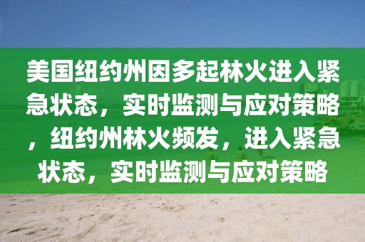 美國紐約州因多起林火進入緊急狀態，實時監測與應對策略，紐約州林火頻發，進入緊急狀態，實時監測與應對策略