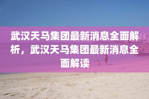 武漢天馬集團最新消息全面解析，武漢天馬集團最新消息全面解讀