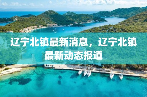 遼寧北鎮最新消息，遼寧北鎮最新動態報道