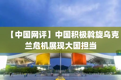 【中國網評】中國積極斡旋烏克蘭危機展現大國擔當