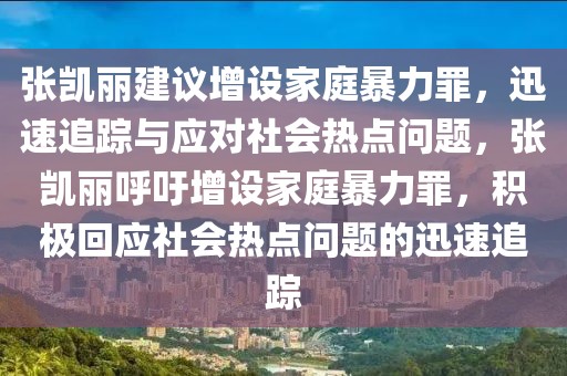 張凱麗建議增設家庭暴力罪，迅速追蹤與應對社會熱點問題，張凱麗呼吁增設家庭暴力罪，積極回應社會熱點問題的迅速追蹤