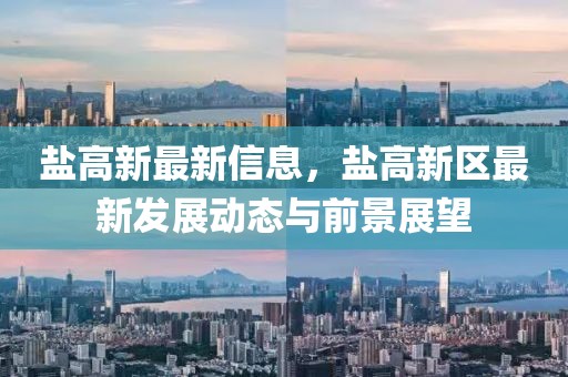 鹽高新最新信息，鹽高新區(qū)最新發(fā)展動態(tài)與前景展望