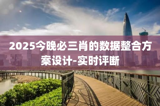 2025今晚必三肖的數據整合方案設計-實時評斷