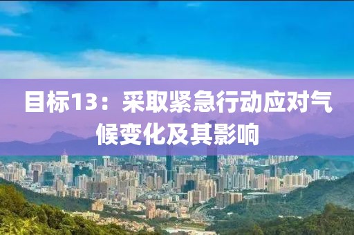目標13：采取緊急行動應對氣候變化及其影響