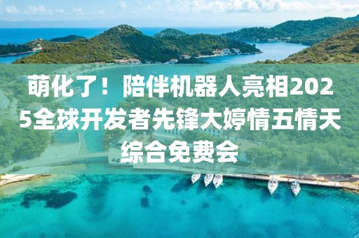 萌化了！陪伴機(jī)器人亮相2025全球開發(fā)者先鋒大婷情五情天綜合免費(fèi)會
