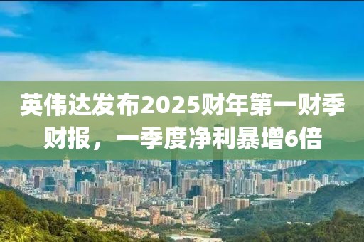 英偉達發布2025財年第一財季財報，一季度凈利暴增6倍