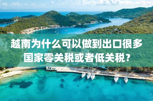 越南為什么可以做到出口很多國家零關稅或者低關稅？
