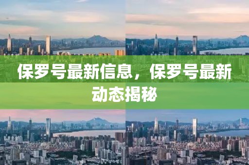 保羅號最新信息，保羅號最新動態(tài)揭秘