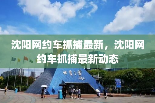 沈陽網約車抓捕最新，沈陽網約車抓捕最新動態
