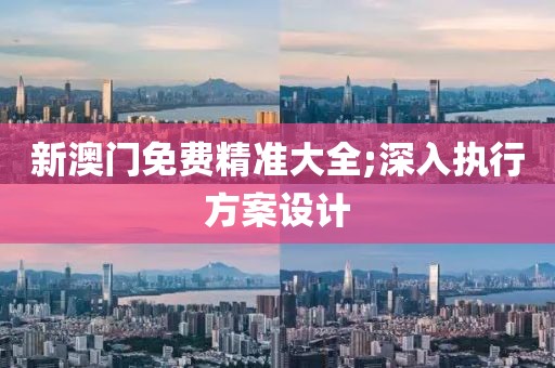 新澳門免費精準大全;深入執行方案設計