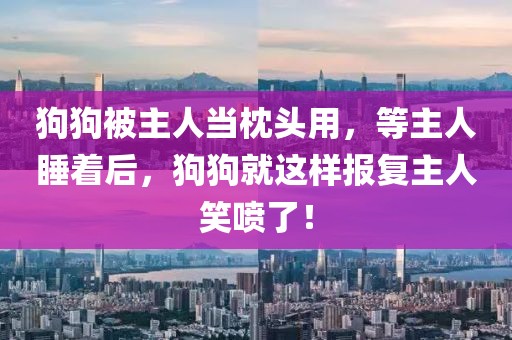 狗狗被主人當(dāng)枕頭用，等主人睡著后，狗狗就這樣報(bào)復(fù)主人笑噴了！