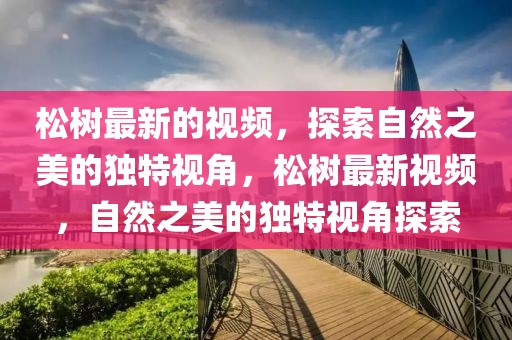 松樹最新的視頻，探索自然之美的獨特視角，松樹最新視頻，自然之美的獨特視角探索