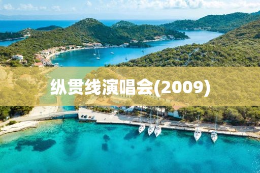 縱貫線演唱會(2009)