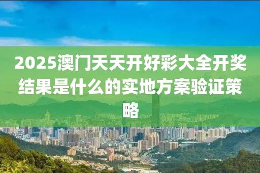 2025澳門天天開好彩大全開獎結果是什么的實地方案驗證策略