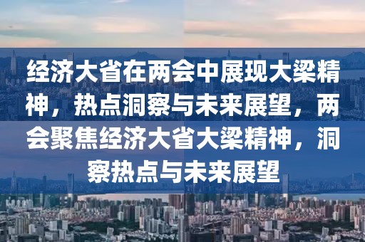 經濟大省在兩會中展現大梁精神，熱點洞察與未來展望，兩會聚焦經濟大省大梁精神，洞察熱點與未來展望