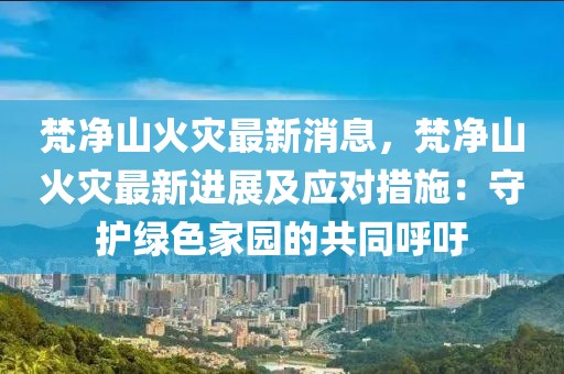 梵凈山火災最新消息，梵凈山火災最新進展及應對措施：守護綠色家園的共同呼吁