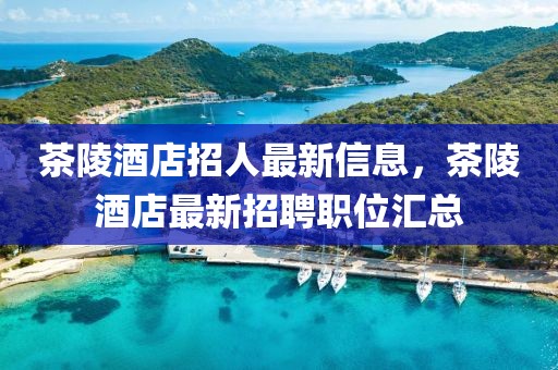 茶陵酒店招人最新信息，茶陵酒店最新招聘職位匯總