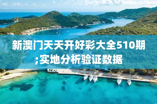 新澳門天天開好彩大全510期;實地分析驗證數據