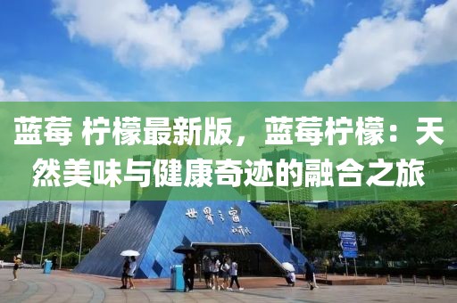 藍莓 檸檬最新版，藍莓檸檬：天然美味與健康奇跡的融合之旅