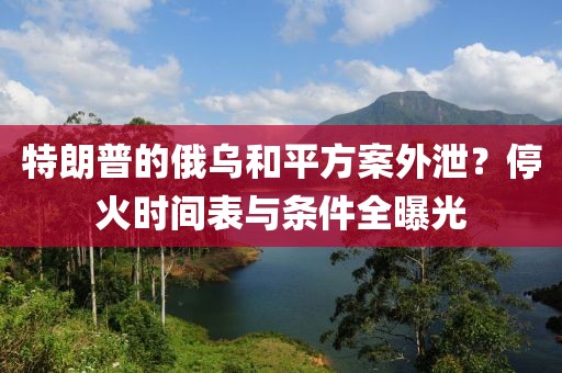 特朗普的俄烏和平方案外泄？停火時間表與條件全曝光
