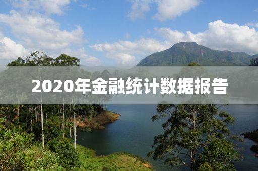 2020年金融統(tǒng)計(jì)數(shù)據(jù)報(bào)告