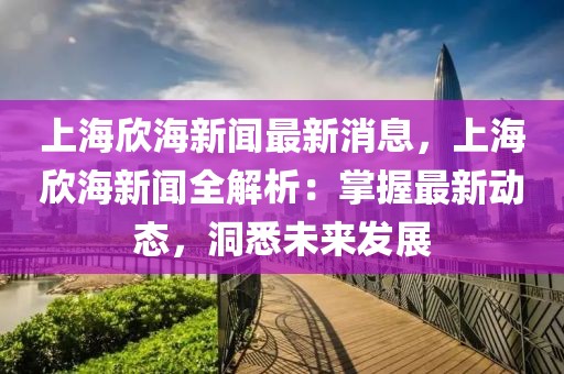 上海欣海新聞最新消息，上海欣海新聞全解析：掌握最新動態(tài)，洞悉未來發(fā)展