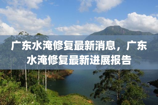 廣東水淹修復最新消息，廣東水淹修復最新進展報告