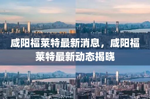咸陽福萊特最新消息，咸陽福萊特最新動態揭曉