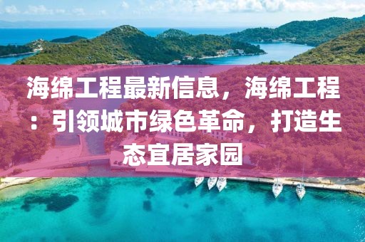 海綿工程最新信息，海綿工程：引領城市綠色革命，打造生態宜居家園