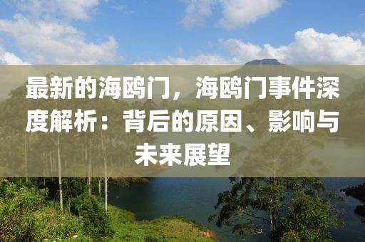 最新的海鷗門(mén)，海鷗門(mén)事件深度解析：背后的原因、影響與未來(lái)展望