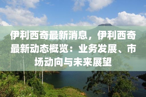伊利西奇最新消息，伊利西奇最新動態概覽：業務發展、市場動向與未來展望